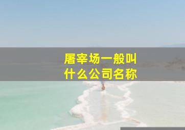 屠宰场一般叫什么公司名称