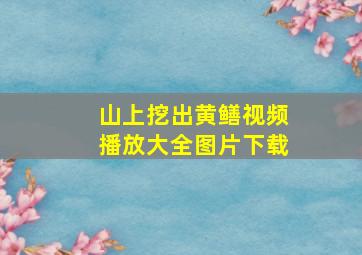 山上挖出黄鳝视频播放大全图片下载