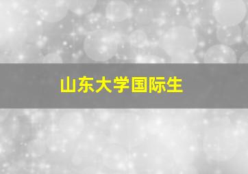 山东大学国际生