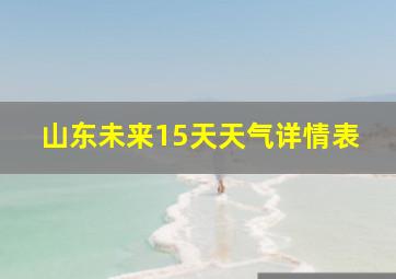 山东未来15天天气详情表