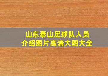 山东泰山足球队人员介绍图片高清大图大全