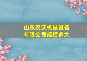 山东泰沃机械设备有限公司规模多大