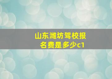 山东潍坊驾校报名费是多少c1