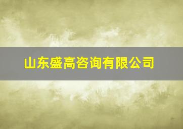 山东盛高咨询有限公司