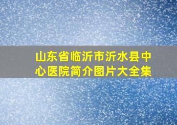 山东省临沂市沂水县中心医院简介图片大全集