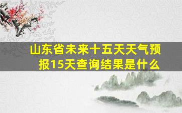 山东省未来十五天天气预报15天查询结果是什么