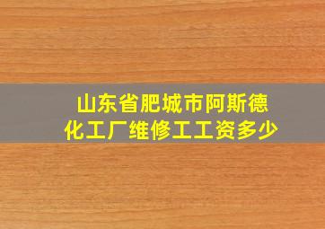 山东省肥城市阿斯德化工厂维修工工资多少