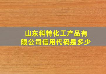 山东科特化工产品有限公司信用代码是多少