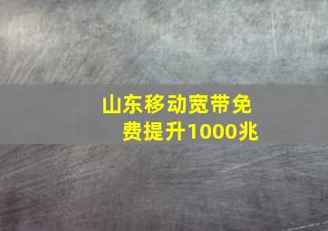 山东移动宽带免费提升1000兆