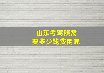 山东考驾照需要多少钱费用呢