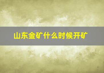 山东金矿什么时候开矿