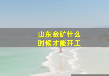 山东金矿什么时候才能开工