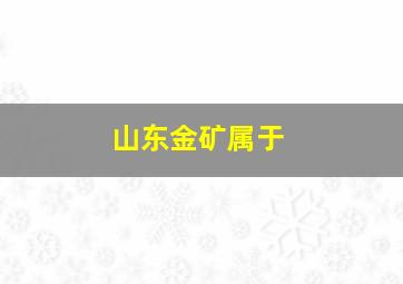 山东金矿属于