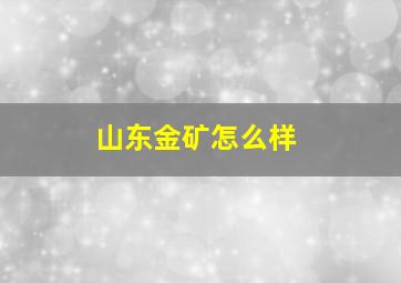 山东金矿怎么样