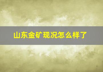 山东金矿现况怎么样了