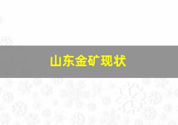 山东金矿现状