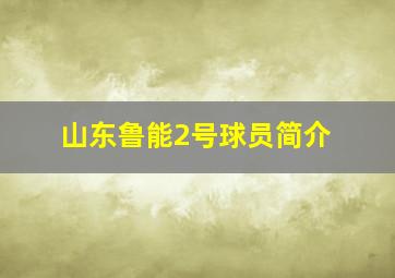 山东鲁能2号球员简介