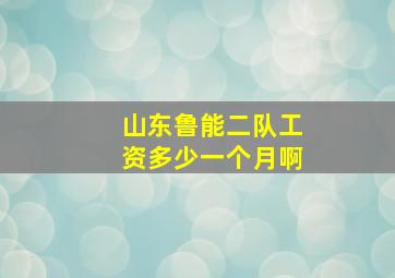 山东鲁能二队工资多少一个月啊