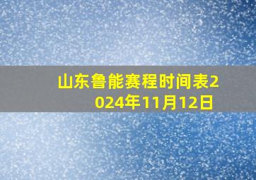 山东鲁能赛程时间表2024年11月12日