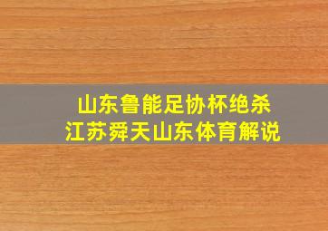 山东鲁能足协杯绝杀江苏舜天山东体育解说