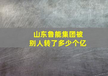 山东鲁能集团被别人转了多少个亿