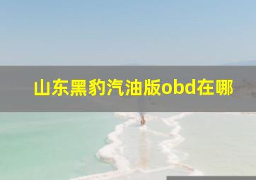 山东黑豹汽油版obd在哪