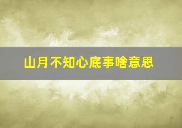 山月不知心底事啥意思