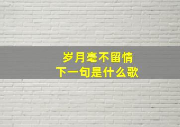 岁月毫不留情下一句是什么歌