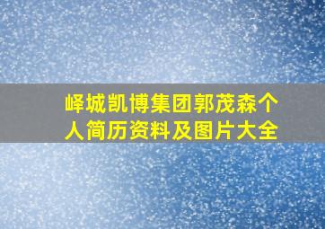 峄城凯博集团郭茂森个人简历资料及图片大全