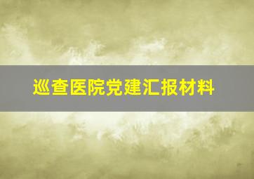 巡查医院党建汇报材料