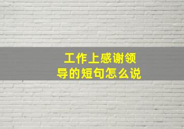 工作上感谢领导的短句怎么说