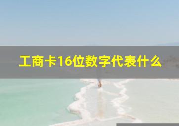 工商卡16位数字代表什么