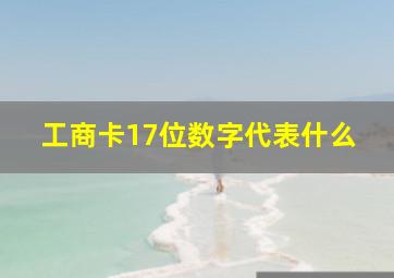 工商卡17位数字代表什么