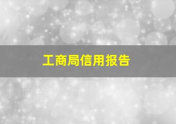 工商局信用报告