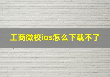 工商微校ios怎么下载不了