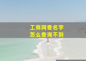 工商网查名字怎么查询不到