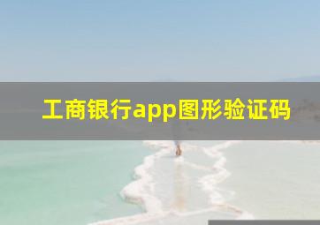 工商银行app图形验证码