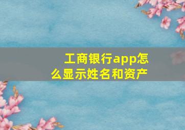 工商银行app怎么显示姓名和资产