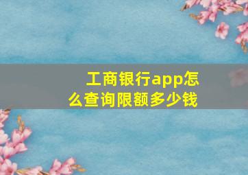 工商银行app怎么查询限额多少钱