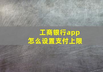 工商银行app怎么设置支付上限