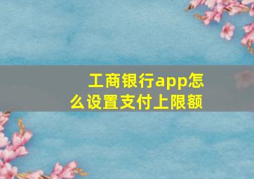 工商银行app怎么设置支付上限额