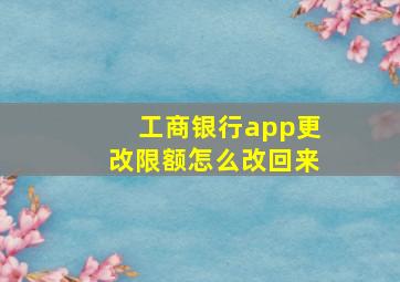 工商银行app更改限额怎么改回来