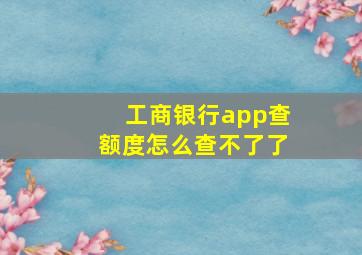 工商银行app查额度怎么查不了了