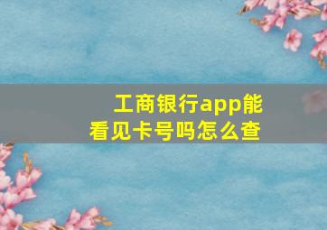 工商银行app能看见卡号吗怎么查