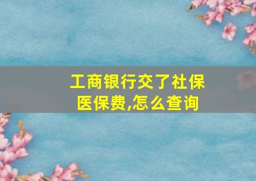 工商银行交了社保医保费,怎么查询