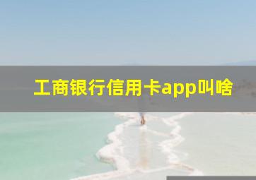 工商银行信用卡app叫啥