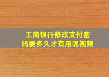 工商银行修改支付密码要多久才有用呢视频