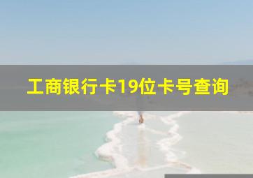 工商银行卡19位卡号查询