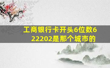 工商银行卡开头6位数622202是那个城市的