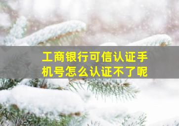 工商银行可信认证手机号怎么认证不了呢